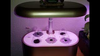 Amazon review: InBloom hydroponic garden