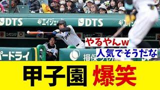 オープン戦で甲子園が爆笑wwwww【野球情報】【2ch 5ch】【なんJ なんG反応】【野球スレ】