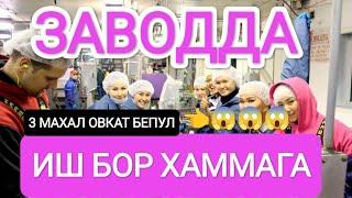 ИШ БОР 18ËШДАН 55 ËШГАЧА 3_МАХАЛ ОВКАТ ЕТОК ЖОЙ РЕГИСТРАЦИЯ БЕПУЛ#musofir #мусофир #мусофирлар