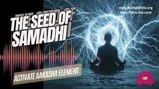 Shrauta Yoga | The Seed of Samadhi | Master Your Senses | Become Indriya Jay | #samadhi #meditation