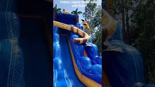 Hidden Jaguar Water Slide Rental in Ocala, Fl. #ocalafl #ocala #marionoaks #ocalamoms #thevillages