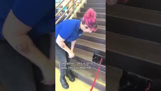 my cat met his biggest fan at PetSmart  #catonaleash #catadventures #cats #petsmart