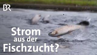 Wasserkraft aus Fischzucht und Kläranlagen | Ökostrom | Wasserkraftwerk | Gut zu wissen | BR