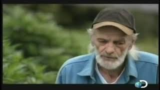 Vietnam Vet explains it best  - Weed Country's B E Smith