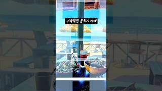 강원도 양양 남애해변의 이국적인 분위기 카페오션뷰 카페 거북이서프바