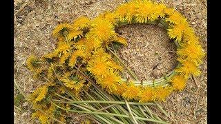 Как плести ВЕНОК ИЗ ОДУВАНЧИКОВ /Венок из цветов / Wreath of flowers