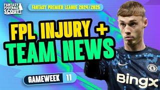 PALMER + HAVERTZ INJURY LATEST!  | FPL TEAM NEWS GW11 | Fantasy Premier League Tips 2024/25