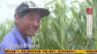 《攻坚日记》 20200923 2020年的秋天·第一回 落实政策忙春种 脱贫成果看秋收|CCTV农业