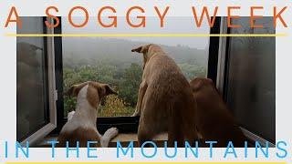 Preparing For Winter | A Soggy Week On Our Homestead In The Mountains