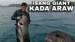 MALALIM O MABABAW ANG SISID LAGING MAY NAPAPANANG GIANT | BIYAYA NG DAGAT  #dodoymontuya