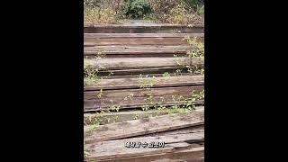 폐교 전 아름다운 캠퍼스를 갖췄던 한중대학교, 폐교 후 5년 뒤 현재모습 #한중대학교 #폐교