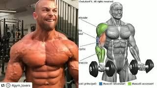 top 10 exercises on the shoulders and arm in the gym