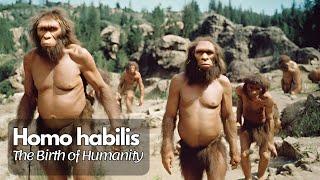 Homo Habilis: The Birth of Humanity