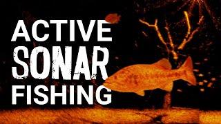 Active Sonar Fishing: What Is It & How Does It Work?