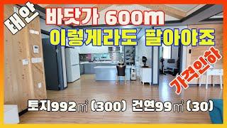 [물건번호2601]태안 바닷가 600m " 바다 뷰~ 예쁜 " 전원주택 가격인하 매매 합니다,  해루질, 낚시, 산책 가능한 바닷가 입니다,