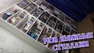 НАВОЖУ ПОРЯДОК НА КНИЖНЫХ СТЕЛЛАЖАХ