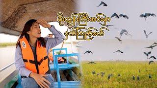 ပဲခူးမှာ ငှက်ကြည့်မယ်