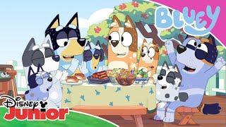  Salata perfectă | Blue | Disney Junior România