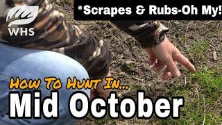 Mid October Deer Hunting Strategies