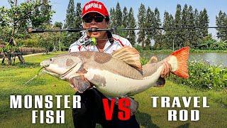 Monster Fish vs Travel Rods - Can travel rods handle monster fish?