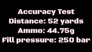 EDgun Leshiy 2: 52 yard Accuracy 30 cal