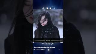 CÁNH HOA HÉO TÀN - MOCHILL - ACV × THUẬN SKY REMIX | CÁNH HOA HÉO TAN HỢP RỒI CŨNG TAN REMIX HOT