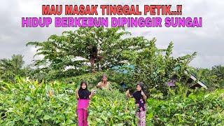 WANT TO COOK, JUST PICK..!! LIVING IN GARDENING ON THE RIVERBANK