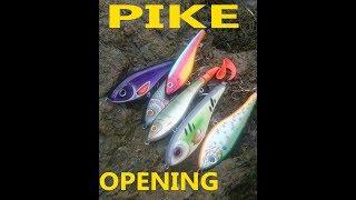 Pike Frustration And Thrill -  Strike Pro Buster Jerk In Action!
