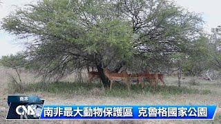 南非最大動物保護區 克魯格國家公園｜中央社影音新聞