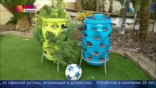 В Израиле открылись центры профессиональной переориентации для «антикарьеристов»