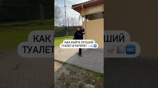 Как найти лучший туалет в Питере? 
