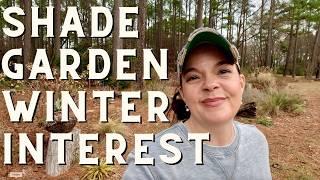 How to Create Winter Interest in Your Shade Garden