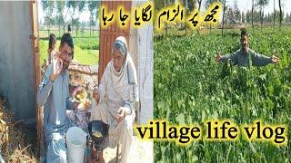 Ultimate Royal Potato Peas | Sham Family Ke Aloo pakora Ki Routine | Village Sham