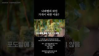 "나파밸리" 의 독특한 와인생산방식... #나파밸리 #와인 #와인추천 #미국와인 #wine