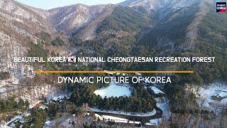 강원도 횡성군 국립 청태산 자연휴양림 Beautiful Korea  NATIONAL CHEONGTAESAN RECREATION FOREST