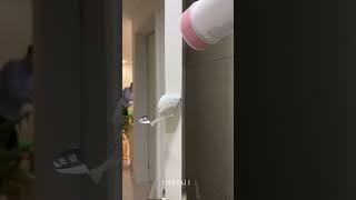 아주 쉽고 간단한 #스티커끈끈이제거방법 #살림노하우 #살림정보 #비주언니1분살림