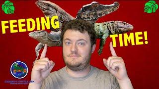 Feeding Our Biggest Reptiles!