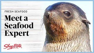 The Seafood Experts - A Seal | ShopRite Grocery Stores