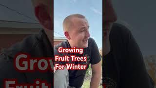 Growing Fruit Trees through winter! #homestead