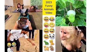 Mood Fresh Funny Animals Video  [Part 17]