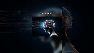 Neuralink ? Elon Musk planning to make CYBORG ? Brainchip | SPACE X | First human implant #neuralink