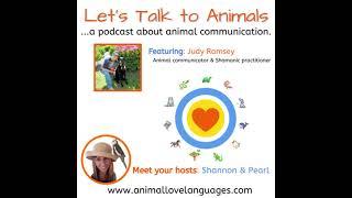 Let's Talk to Animals with animal communicator Shannon Cutts and Judy Ramsey