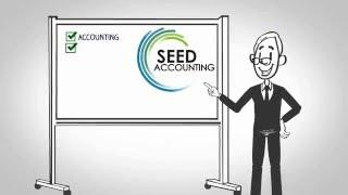 Seed Accounting - Accounting firm in Portugal