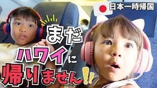 【日本の家族とお別れの日】驚愕️飛行機で仕掛けた大サプライズに子供たちが大興奮【日本一時帰国｜国際ファミリー｜アメリカ】