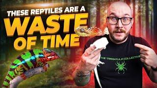 5 Popular Reptiles That Are NOT WORTH THE HASSLE!