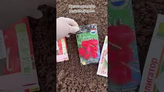 Дачный сезон открыт)))