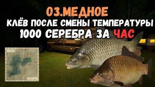 ПУЛЕМЁТНЫЙ КЛЁВ ПОСЛЕ СМЕНЫ ТЕМПЕРАТУРЫ/оз.Медное ● Русская Рыбалка 4 | РР4