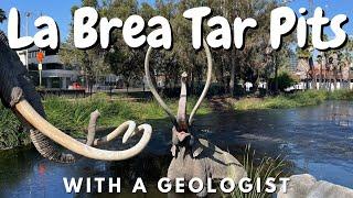 LA BREA TAR PITS WITH A GEOLOGIST | FOSSILS AND GEOLOGY TOUR