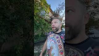 Как растет грант?