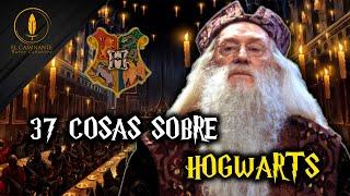 37 Cosa sobre Hogwarts ¿Sabías todas?